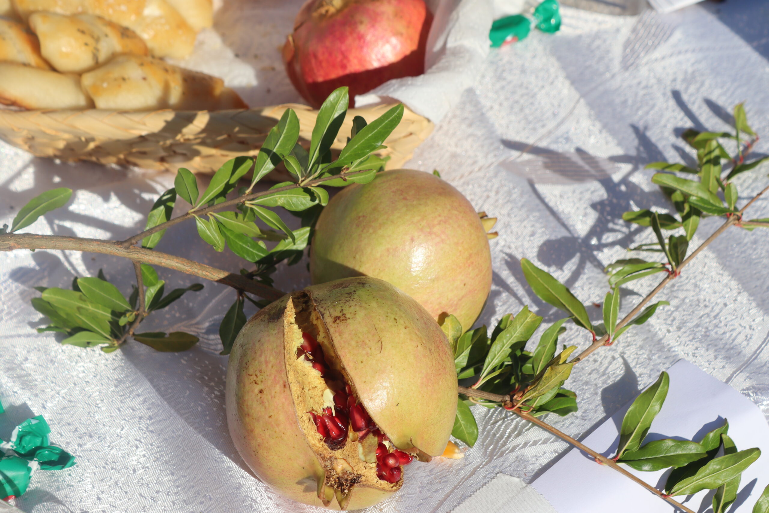 Dani kruha i zahvalnosti za plodove zemlje